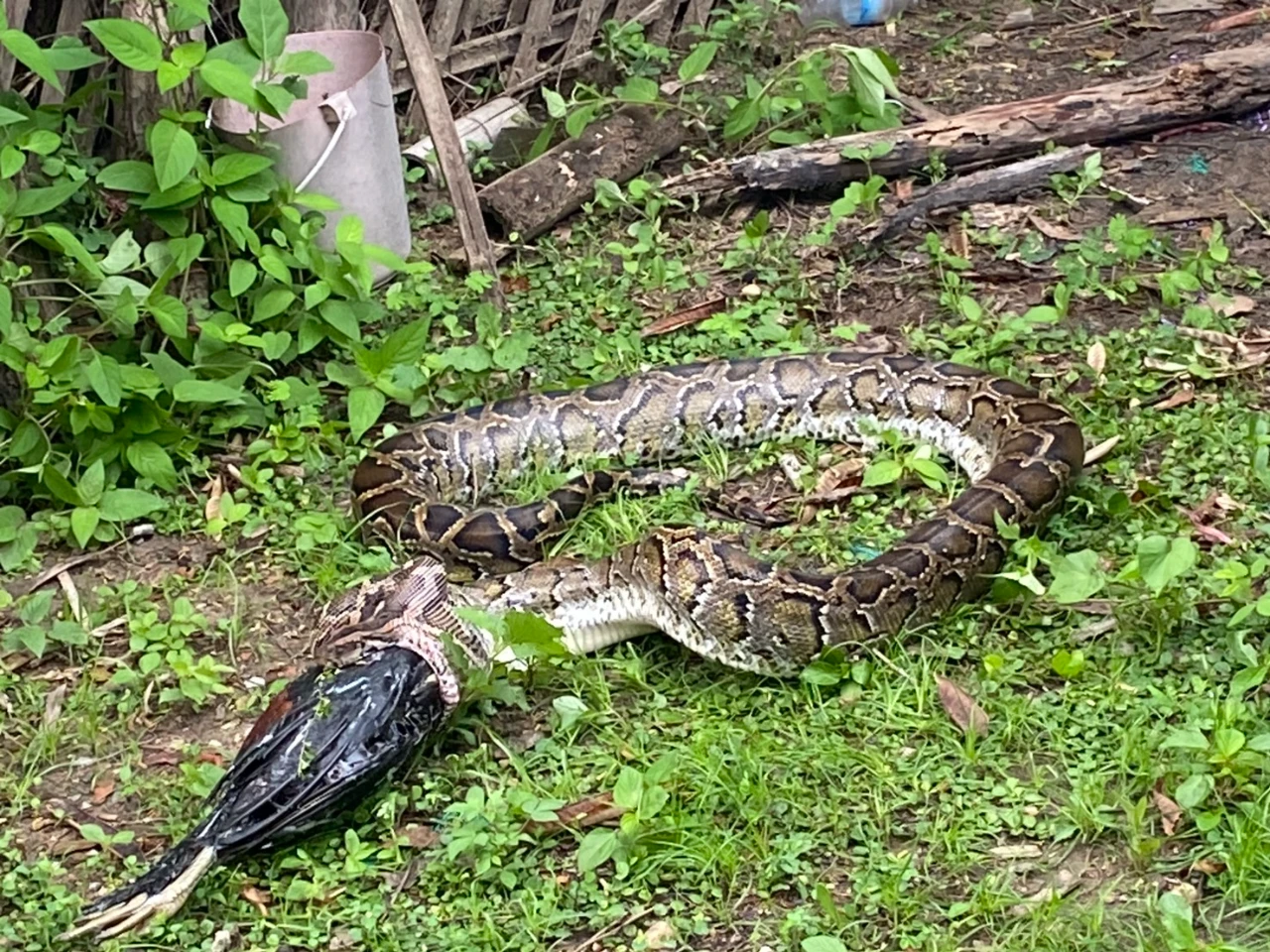 catalogs_file_1413_59_46_372102.webp