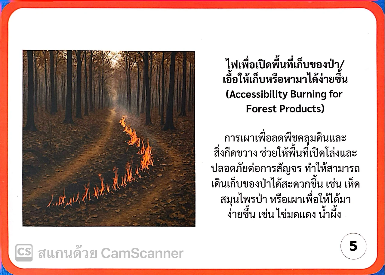 catalogs_file_1403_42_12_720367.webp
